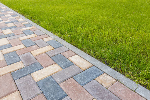 Professional Driveway Pavers in Hallandale Beach, FL